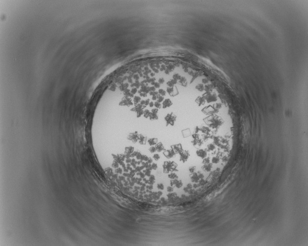 X0000078241166200611251231