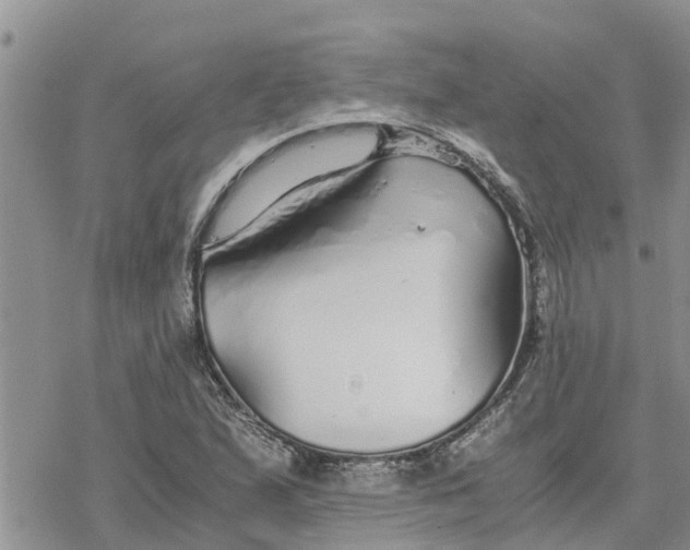 X0000078241167200611251231