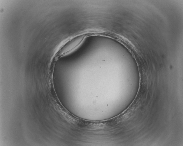 X0000078241168200611251231