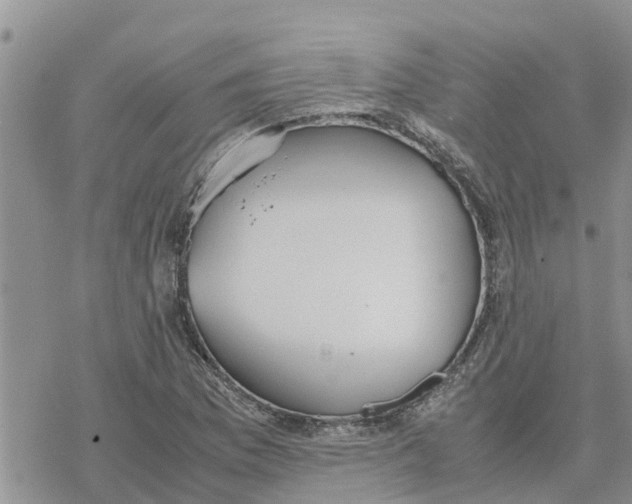 X0000078241169200611251231