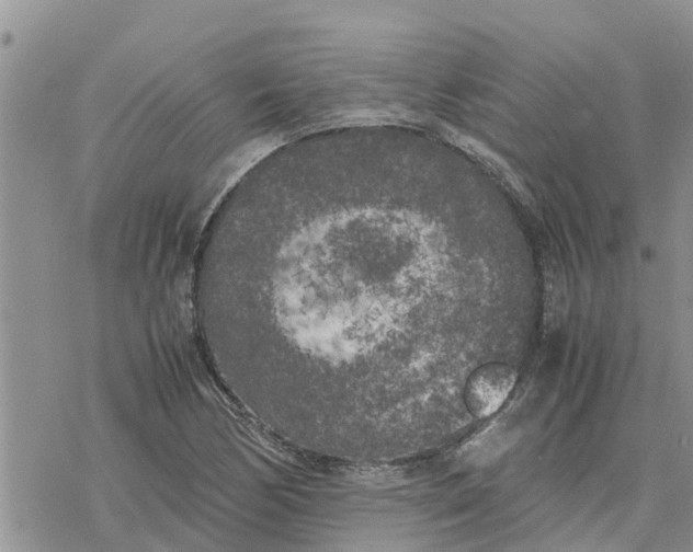 X0000078241170200611251231