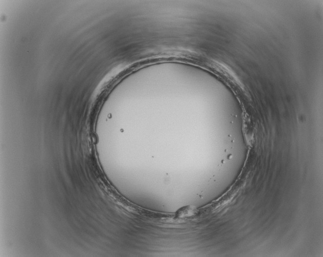 X0000078241172200611251231