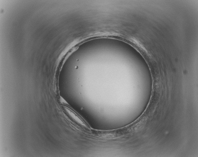 X0000078241173200611251231