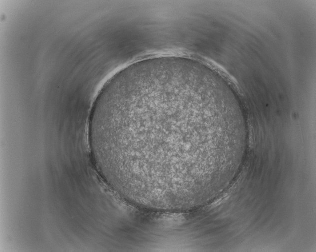 X0000078241174200611251231