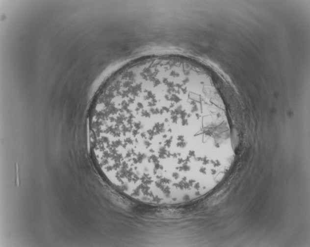 X0000078241175200611251231