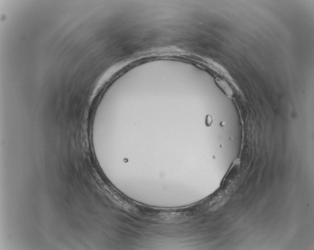 X0000078241176200611251231