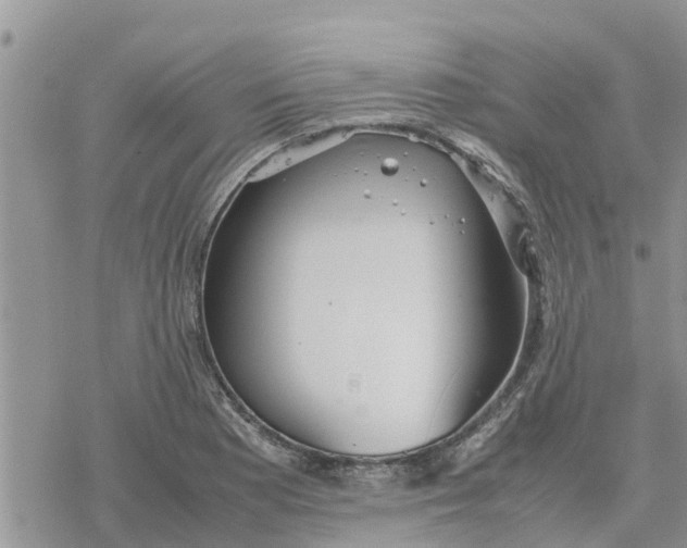 X0000078241177200611251231