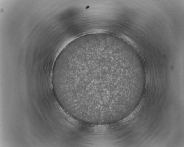 X0000078241178200611251231