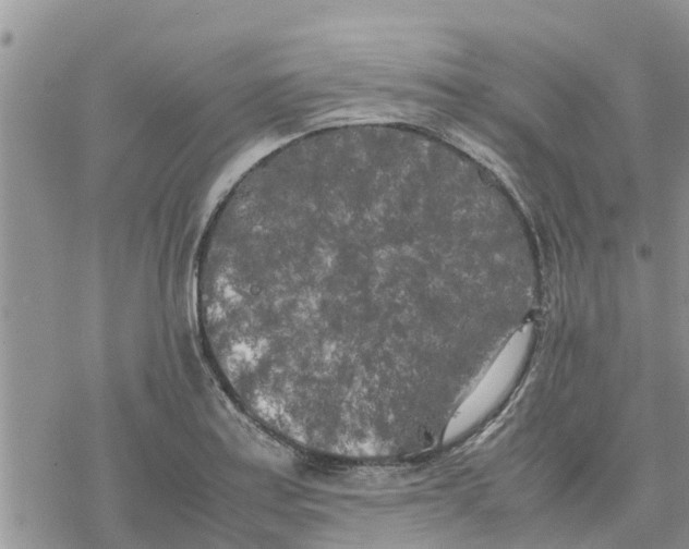 X0000078241179200611251231