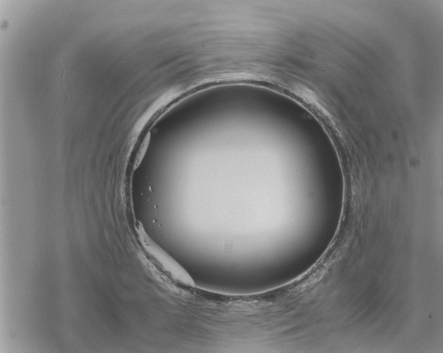 X0000078241181200611251231