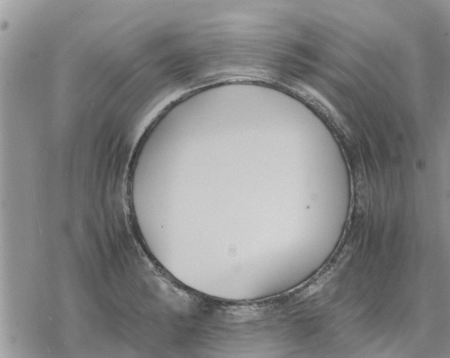 X0000078241182200611251231