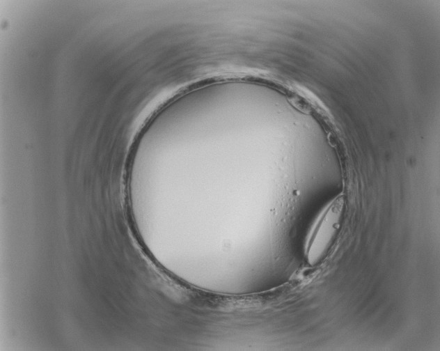 X0000078241183200611251231