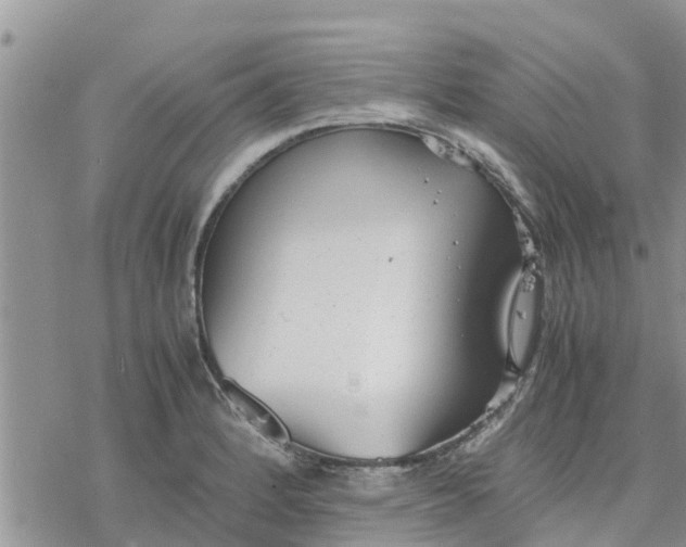 X0000078241184200611251231