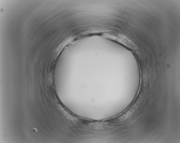 X0000078241185200611251231