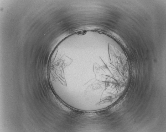 X0000078241186200611251231