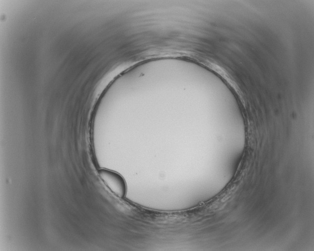 X0000078241187200611251231