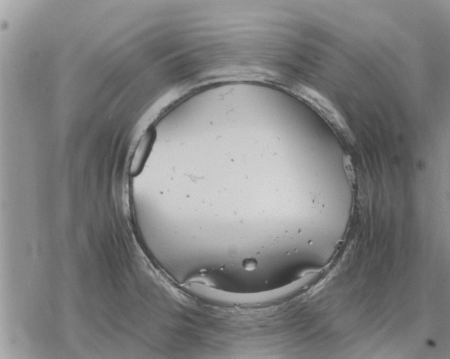 X0000078241188200611251231