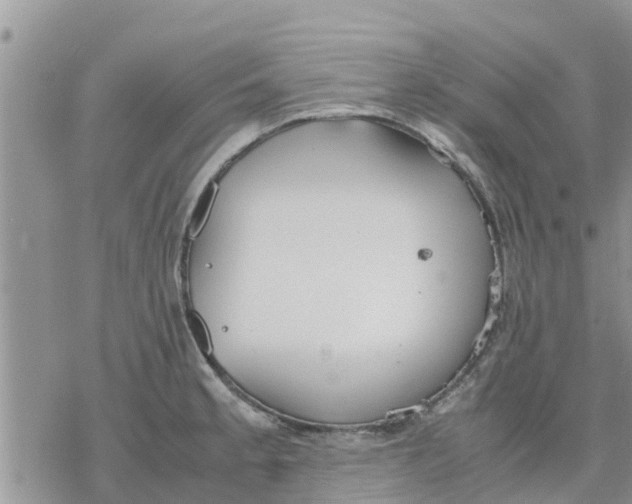 X0000078241189200611251231