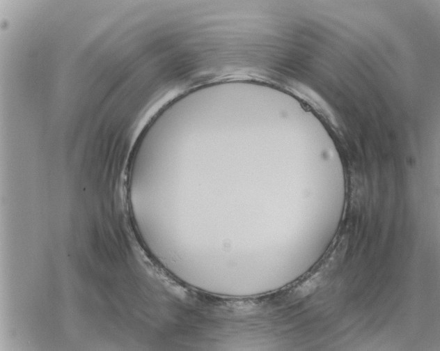 X0000078241190200611251231