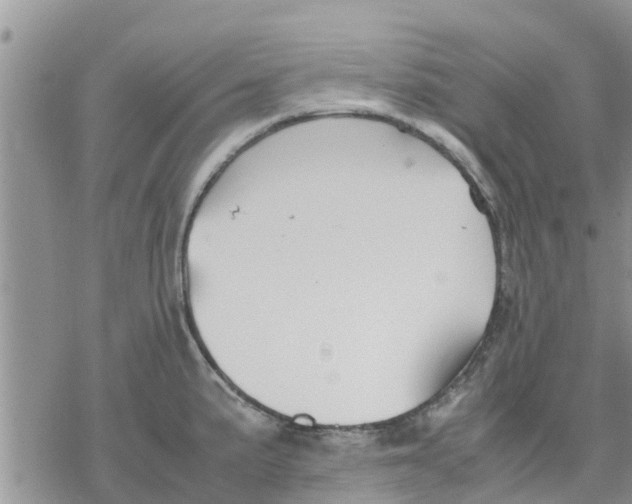 X0000078241191200611251231