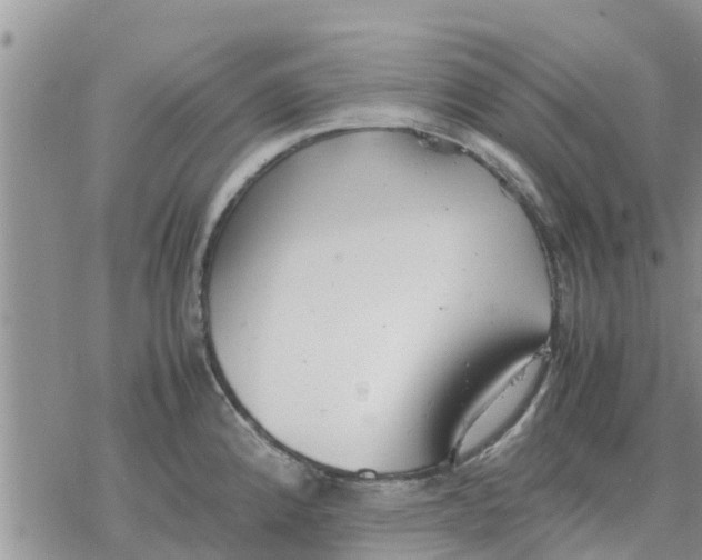 X0000078241192200611251231