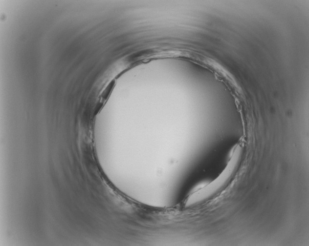 X0000078241193200611251231