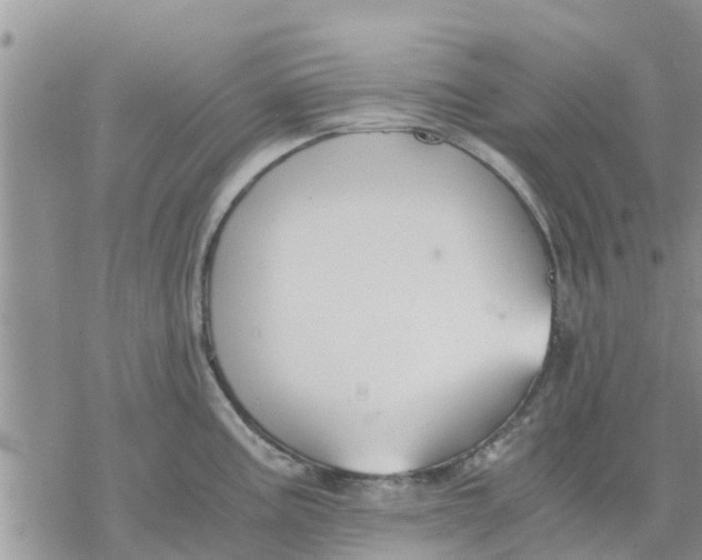 X0000078241195200611251231