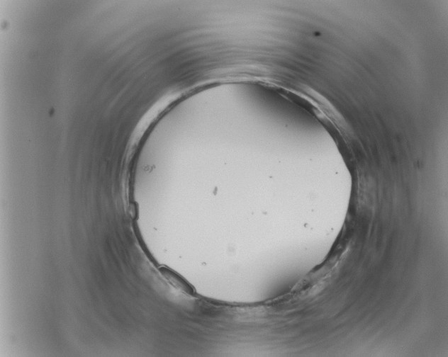 X0000078241196200611251231