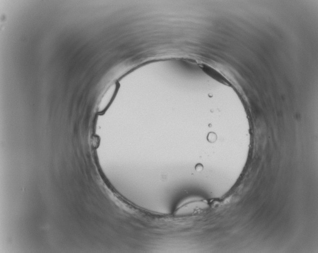 X0000078241197200611251231