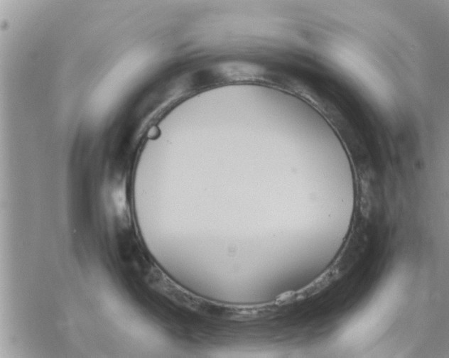 X0000078241198200611251231