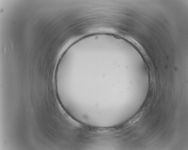 X0000078241199200611251231