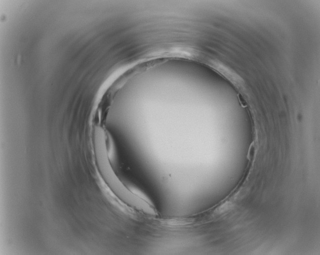 X0000078241200200611251231