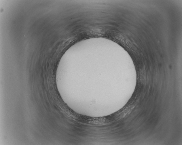 X0000078241201200611251230