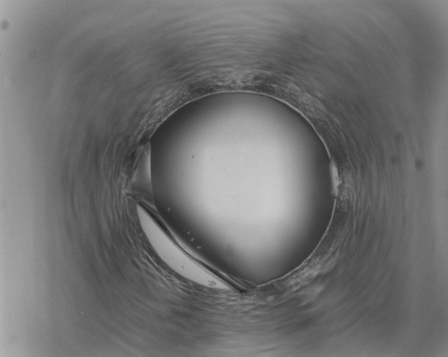 X0000078241202200611251230