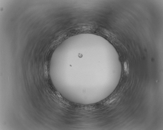 X0000078241203200611251230