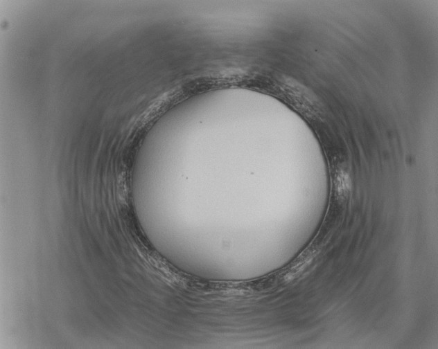 X0000078241204200611251230