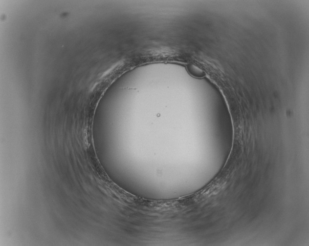 X0000078241205200611251230