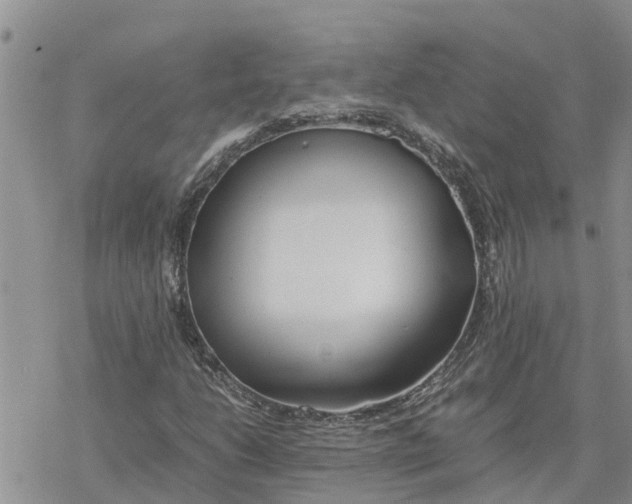 X0000078241206200611251230