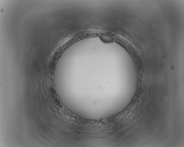 X0000078241207200611251230