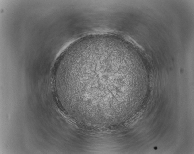 X0000078241208200611251230