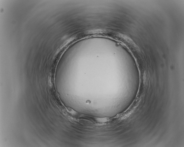 X0000078241209200611251230