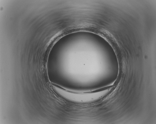 X0000078241210200611251230