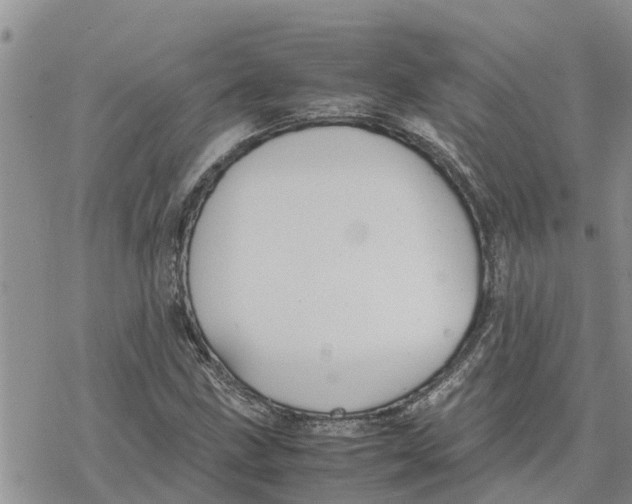 X0000078241211200611251230