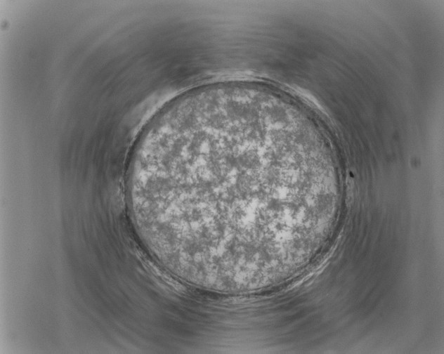 X0000078241212200611251230