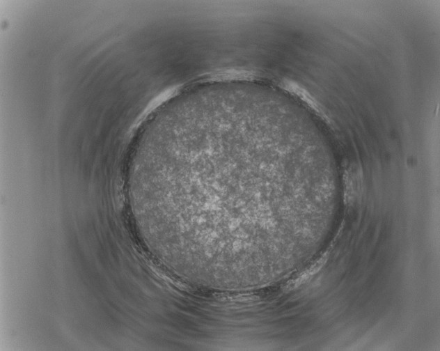 X0000078241213200611251230