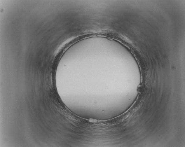 X0000078241214200611251230