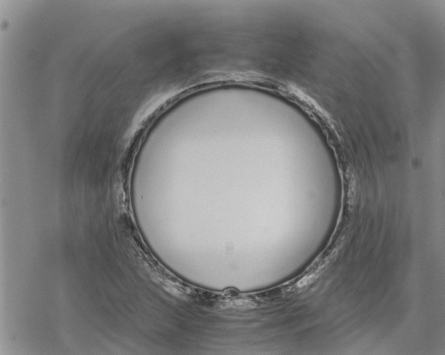 X0000078241215200611251230