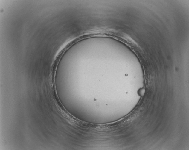 X0000078241216200611251230