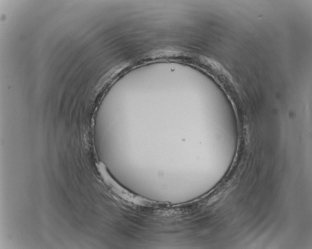 X0000078241217200611251230