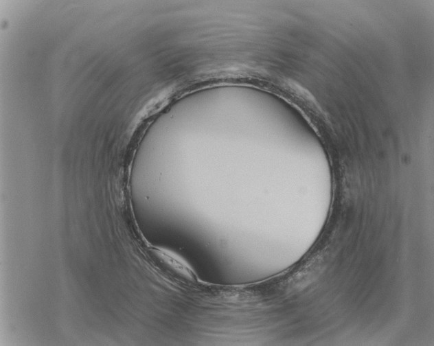 X0000078241218200611251230